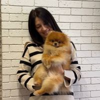 оригінальний аудіозапис