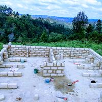 mponzihausesolution255