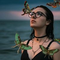 micromothpigment.edits