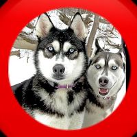 ruff_pack