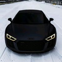 audi_is_king5