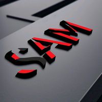 sam_11bay