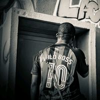 wilo900