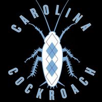thecarolinacockroach