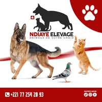 original sound - animaux_de_votre_choix