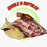 snailsreptiles