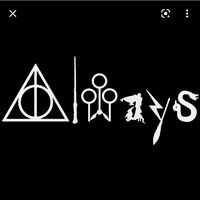 harrypotterfans333