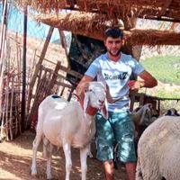 mimounkhelfi