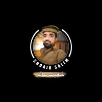shoaibsalim562
