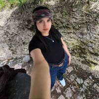 choquenoelia