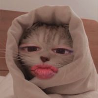 suara asli - Penggemarmu