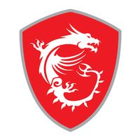 son original - MSI France