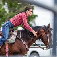 livingluckyquarterhorses