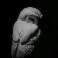 original sound - vheslit