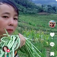 nhạc nền - kaj 🌹🍀siab ☘️☘️🌹muaj hmo 🌹