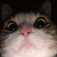 userr.ramdomxdd