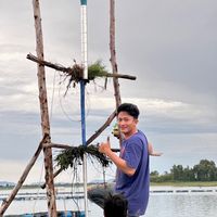 pagasit42