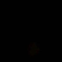 wili_089