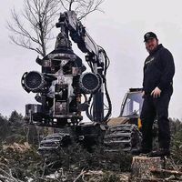 original sound - Logger Mack