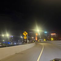 ocdopusoctopus