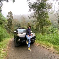 dessyaurorashop87