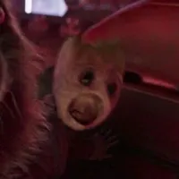 little dark age x washing machine heart