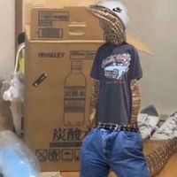 What You Heard By Sonder