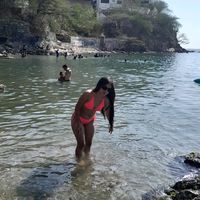 shairar27
