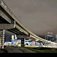 peralta_1512