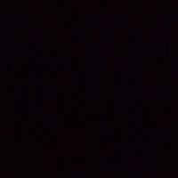 liver_005