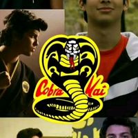 alessiocobrakai