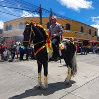 sebastianavila646