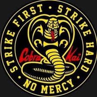 cobrakai_fan298
