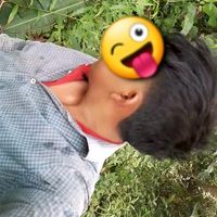 palaciofflizxnitid