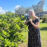 original sound - isabelmaldonado446