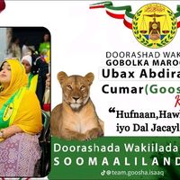 mr_gooheyamani
