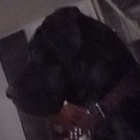 freshi_person