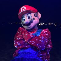 mario.ch015