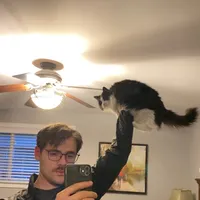 original sound - dustinsavage28