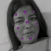 wwwvanessinhacorreia