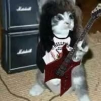 srangerthingslover1101