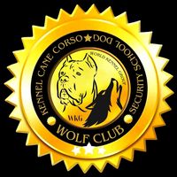 wolf_club_dogtraining