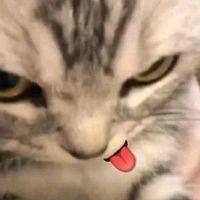 оригінальний звук