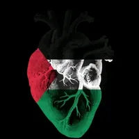 original sound - zaameem