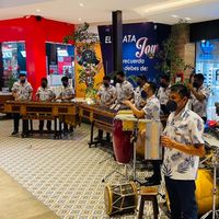 marimba_perladehormigo