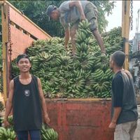suara asli - toko pisang