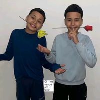 vavagemeos6