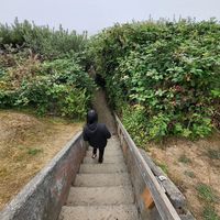 lunalee_blissfulvibes