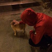 оригинальный звук