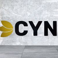 cyn.style